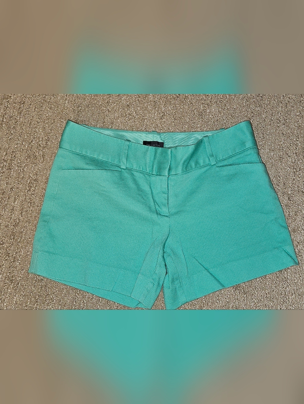 The Limited Mint Green Women’s Shorts